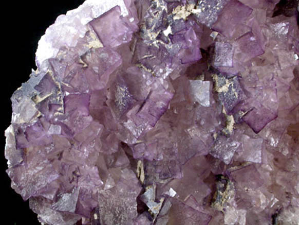 Fluorite from Caldwell Stone Quarry, Danville, Boyle County, Kentucky