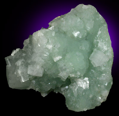 Hydroxyapophyllite-(K) (formerly apophyllite-(KOH)) on Prehnite from Fairfax Quarry, 6.4 km west of Centreville, Fairfax County, Virginia