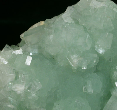 Hydroxyapophyllite-(K) (formerly apophyllite-(KOH)) on Prehnite from Fairfax Quarry, 6.4 km west of Centreville, Fairfax County, Virginia