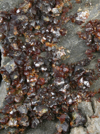 Sphalerite var. Ruby Blende from Tri-State Lead-Zinc Mining District, near Joplin, Jasper County, Missouri