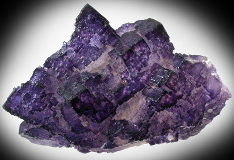 Fluorite from Melchor Muzquiz, Coahuila, Mexico