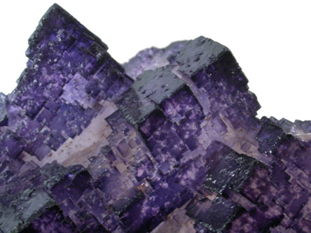 Fluorite from Melchor Muzquiz, Coahuila, Mexico