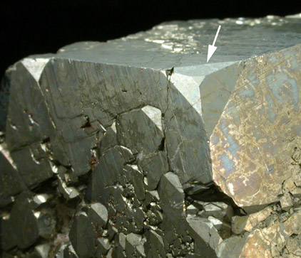 Pyrite with diploid faces from Isola d'Elba, Tuscan Archipelago, Livorno, Italy