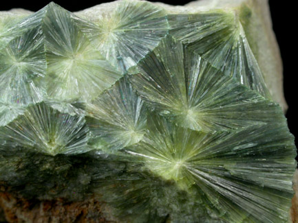 Wavellite from Dug Hill, near Avant, Garland County, Arkansas