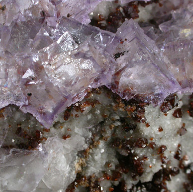 Fluorite with Sphalerite from Elmwood Mine, Carthage, Smith County, Tennessee