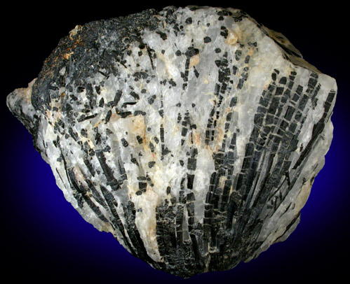 Schorl Tourmaline in Quartz from Achiase, north of Accra, Ghana