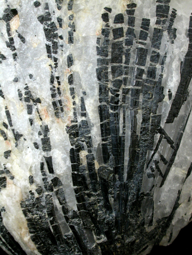 Schorl Tourmaline in Quartz from Achiase, north of Accra, Ghana