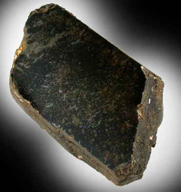 Phlogopite Mica from South Burgess, Ontario, Canada