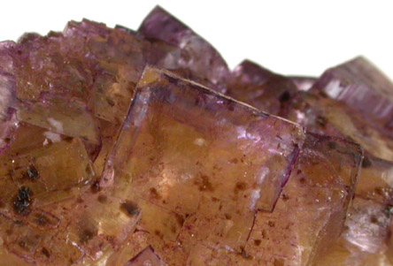 Fluorite from Cave-in-Rock District, Hardin County, Illinois