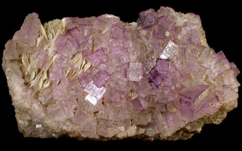 Fluorite on Barite from Central Kentucky Fluorspar District, Danville, Boyle County, Kentucky