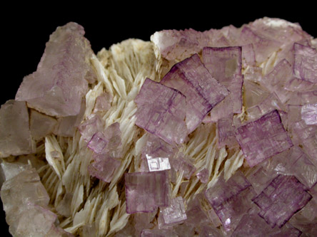 Fluorite on Barite from Central Kentucky Fluorspar District, Danville, Boyle County, Kentucky