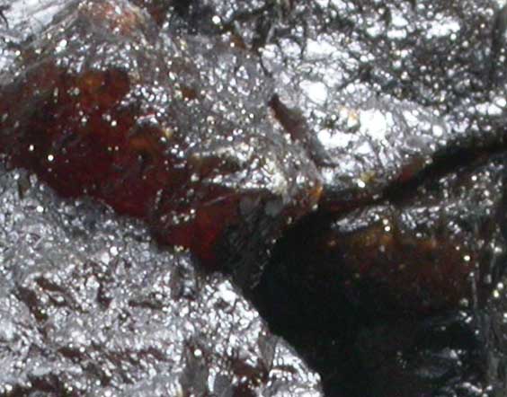 Sphalerite with Chalcopyrite from Tri-State Lead-Zinc Mining District, near Joplin, Jasper County, Missouri