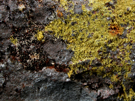 Cyrilovite and Strengite from Iron Monarch Quarry, Iron Knob, South Australia, Australia