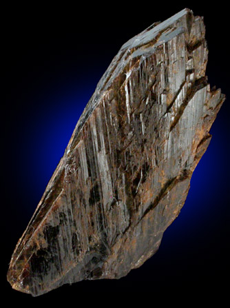 Axinite-(Fe) from Obira Mine, Oita Prefecture, Japan