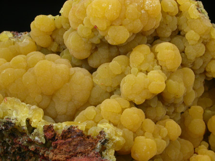 Mimetite from San Pedro Mine, San Pedro Corralitos, Chihuahua, Mexico