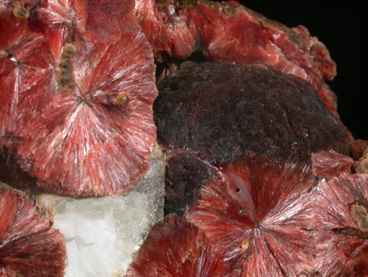 Inesite from Wessels Mine, Kalahari Manganese Field, Northern Cape Province, South Africa