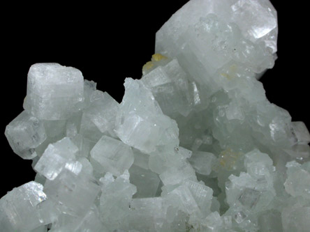 Prehnite pseudomorphs after Laumontite with Apophyllite from Bombay Quarry, Mumbai (Bombay), Maharastra, India