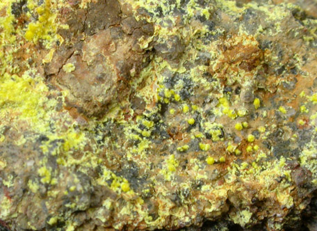 Phurcalite from Posey Mine, Red Canyon, San Juan County, Utah