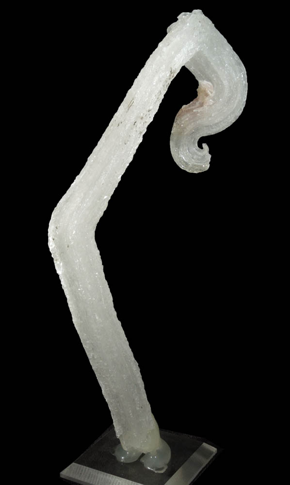 Gypsum var. Rams Horn Gypsum from Mariposa Mine, Brewster County, Texas