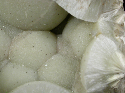 Pectolite with Chamosite from Millington Quarry, Bernards Township, Somerset County, New Jersey