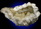 Natrolite on Pectolite from Millington Quarry, Bernards Township, Somerset County, New Jersey