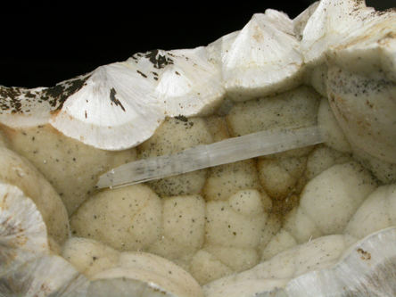 Natrolite on Pectolite from Millington Quarry, Bernards Township, Somerset County, New Jersey