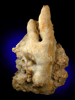 Aragonite Stalactite from (Cave of the Winds), Colorado Springs, El Paso County, Colorado
