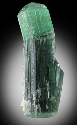 Elbaite Tourmaline from Paprok, Kamdesh District, Nuristan Province, Afghanistan