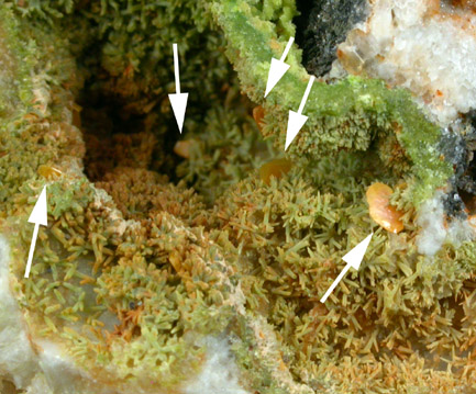 Wulfenite with Pyromorphite from Manhan Lead Mines, Loudville District, 3 km northwest of Easthampton, Hampshire County, Massachusetts