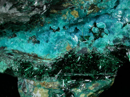 Atacamite with Halloysite and Chrysocolla from Mina la Farola, Copiapo, Atacama Desert, Chile (Type Locality for Atacamite)