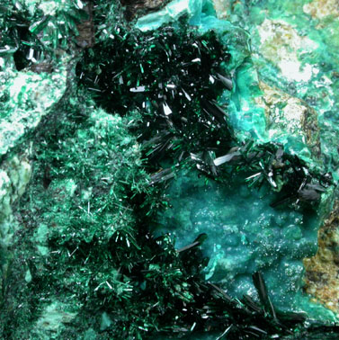 Atacamite with Halloysite and Chrysocolla from Mina la Farola, Copiapo, Atacama Desert, Chile (Type Locality for Atacamite)