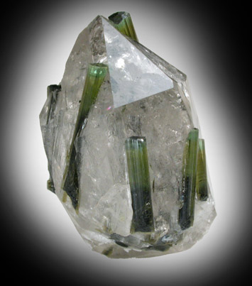 Elbaite Tourmaline in Quartz from Gilgit District, Gilgit-Baltistan, Pakistan