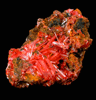 Crocoite from Dundas, Tasmania, Australia