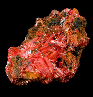 Crocoite from Dundas, Tasmania, Australia