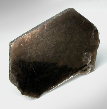 Cryophyllite (Fe-rich Polylithionite or Trilithionite) from Rockport, Essex County, Massachusetts