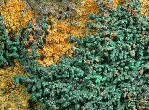 Malachite from Omega Mine, Helvetia District, Pima County, Arizona