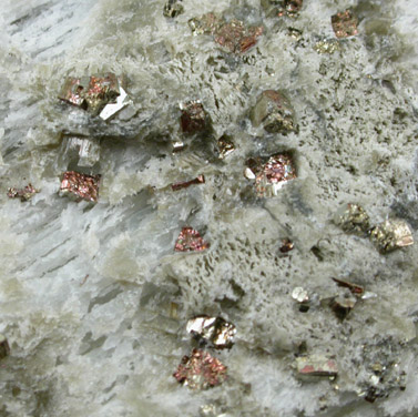 Pyrite from Callahan Mine, Cape Rosier, Hancock County, Maine