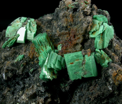 Torbernite from Gunnislake, Cornwall, England