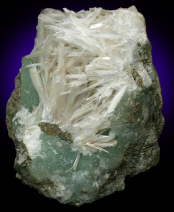 Pectolite on Prehnite from Guttenberg, Hudson County, New Jersey