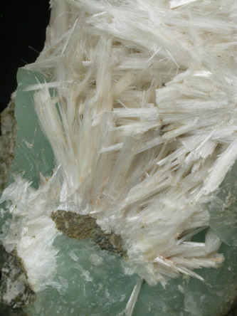 Pectolite on Prehnite from Guttenberg, Hudson County, New Jersey