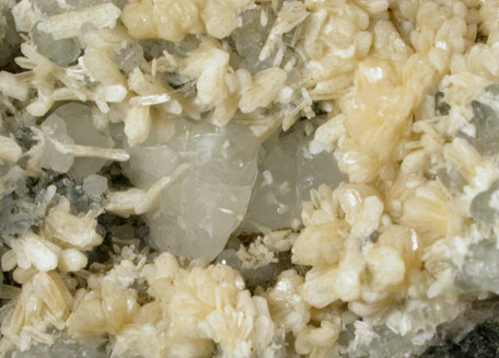 Stilbite, Calcite Prehnite from Laurel Hill (Snake Hill) Quarry, Secaucus, Hudson County, New Jersey