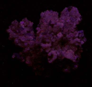 Quartz pseudomorphs after Glauberite from Consolidated Quarry, Great Notch, Passaic County, New Jersey