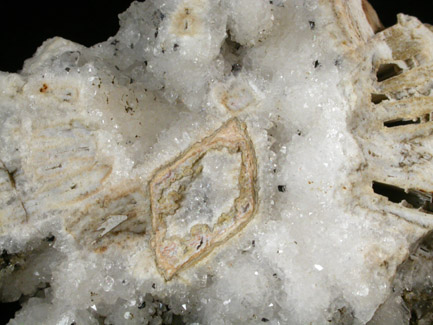 Quartz pseudomorphs after Glauberite from New Street Quarry, Paterson, Passaic County, New Jersey