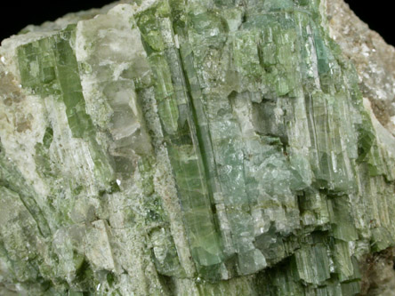 Elbaite Tourmaline with Albite, Lepidolite from Strickland Quarry, Collins Hill, Portland, Middlesex County, Connecticut