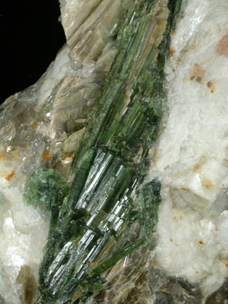 Elbaite Tourmaline with Muscovite, Albite from Strickland Quarry, Collins Hill, Portland, Middlesex County, Connecticut