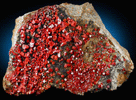 Vanadinite and Mottramite from Apache Mine (Vanadium Shaft), 8 km north of Globe, Gila County, Arizona