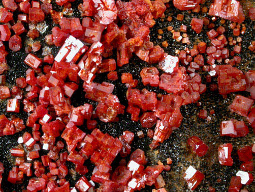 Vanadinite and Mottramite from Apache Mine (Vanadium Shaft), 8 km north of Globe, Gila County, Arizona