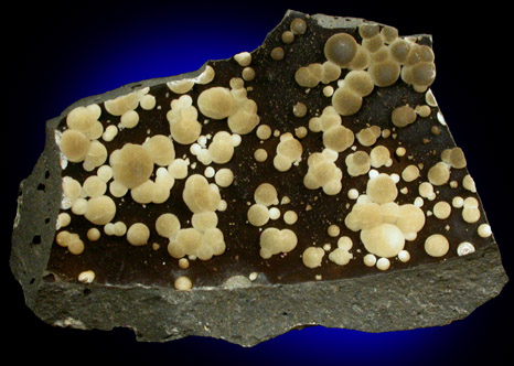 Calcite (botryoidal) from near Rome, Lazio (Latium), Italy