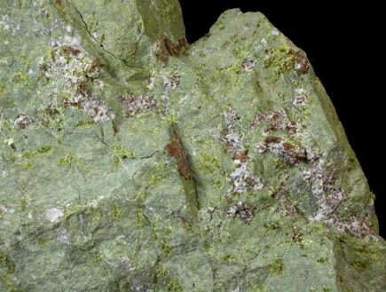 Copper var. Shot Copper from Keweenaw Peninsula Copper District, Michigan