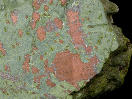 Copper var. Shot Copper from Keweenaw Peninsula Copper District, Michigan